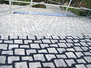 屋根雨漏り補修及び板金工事1