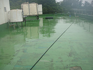 骨材入り防水塗装工事1