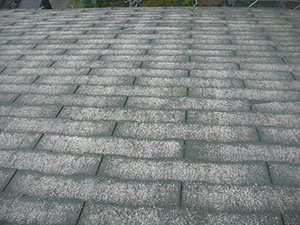 屋根ガリバリウム工法・軒タフモック使用1