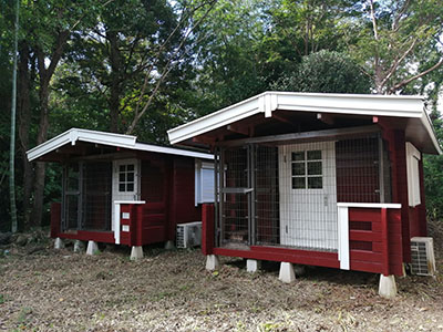 スウェーデンハウス塗装工事3